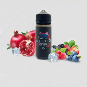 FROZEN XEDE SALTNIC 30ML BY SAM VAPES