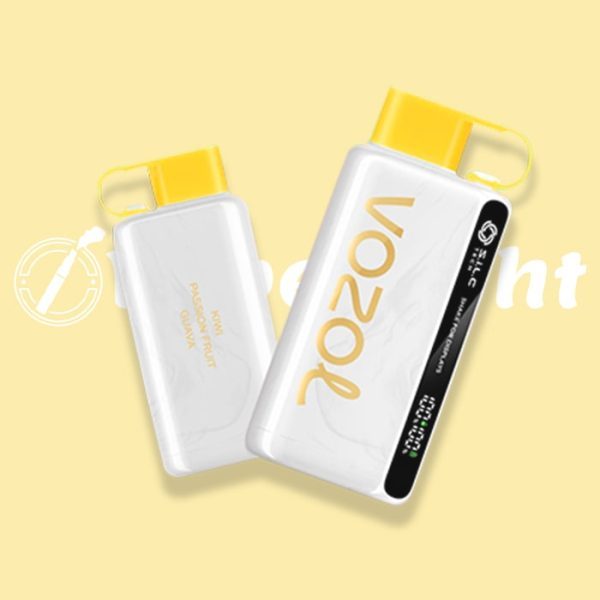 VOZOL STAR 12000 PUFFS DISPOSABLE VAPE