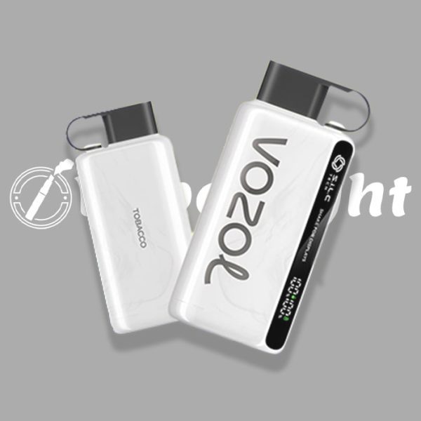 VOZOL STAR 12000 PUFFS DISPOSABLE VAPE