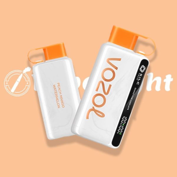 VOZOL STAR 12000 PUFFS DISPOSABLE VAPE